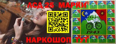 шишки Лесосибирск