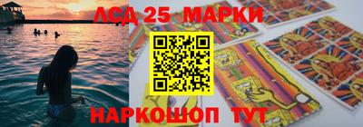 шишки Лесосибирск