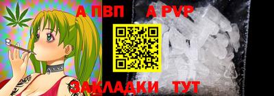 шишки Лесосибирск