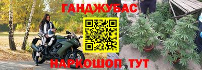 шишки Лесосибирск
