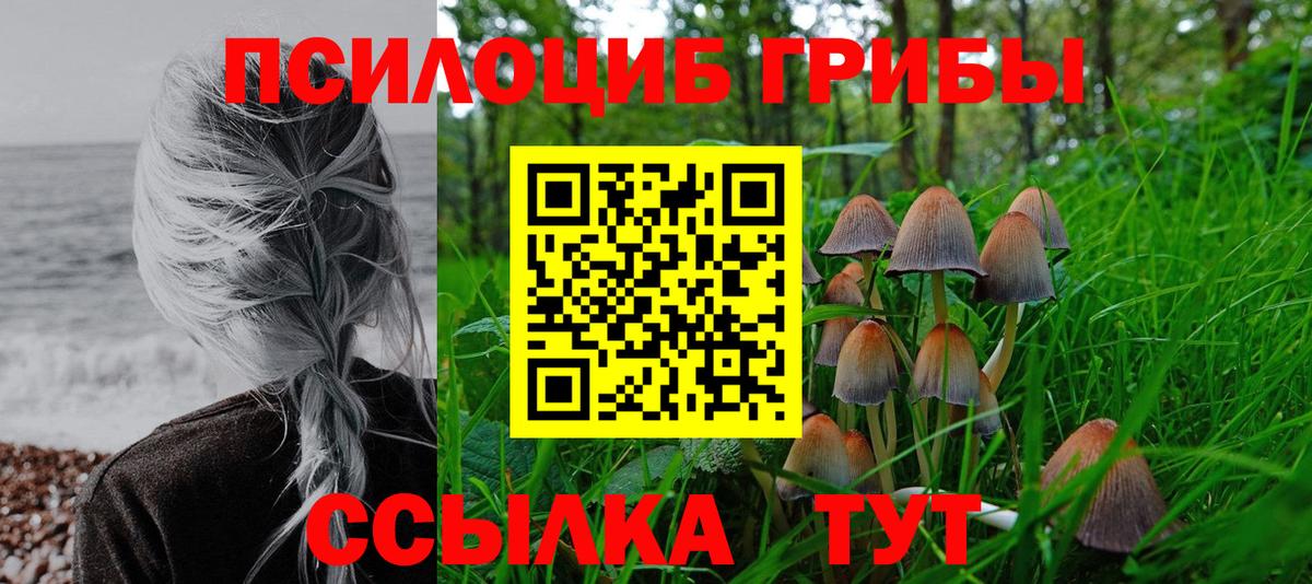 Псилоцибиновые грибы Psilocybe Энгельс